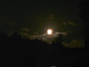 満月?