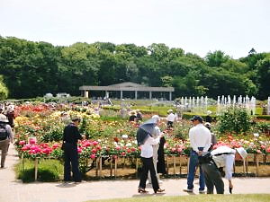 神代植物公園