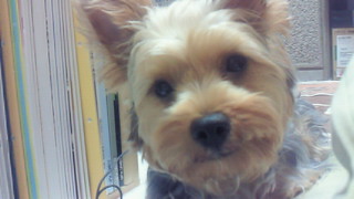 2011-10-17 22:59:23