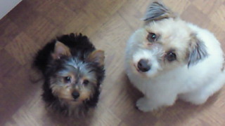 2011-10-17 23:00:43
