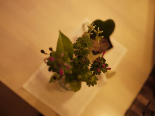P1100515.jpg