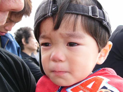 泣いてしまいました。。。