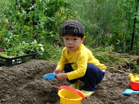野菜の苗を植えました！