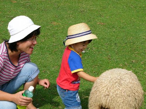 ひつじさん、かわいいね♪