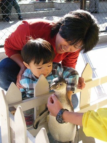 ペンギンさんにさわれたよ！