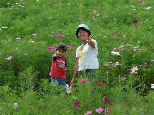 コスモス畑でピース！