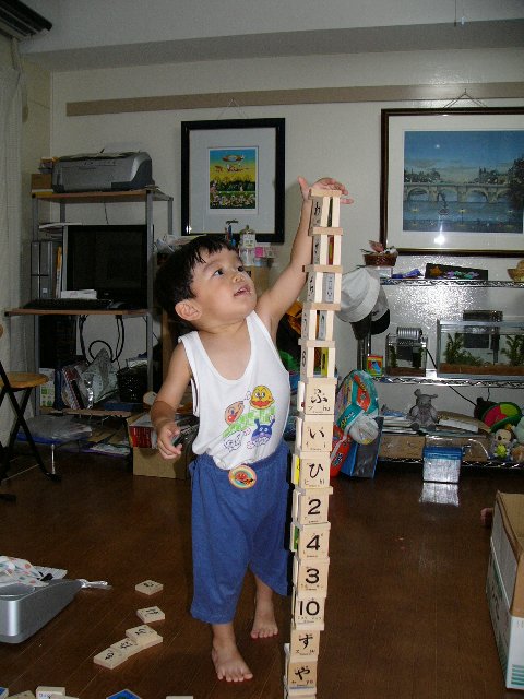 もっと高く積むんだい！