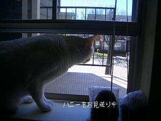 外が気になる