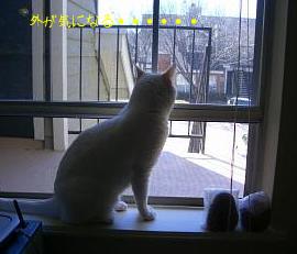 外・・・