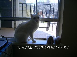 ねー