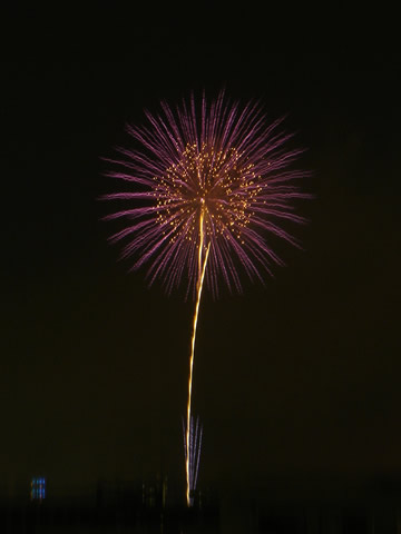 ピンクのあわい切ない花火☆
