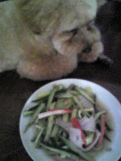 野菜サラダたべた～い