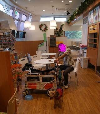 cafe.JPG
