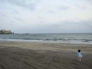 向こうは逗子マリーナ