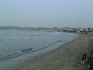 朝の材木座。9/23