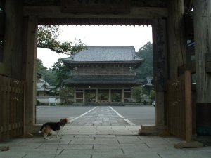 光明寺＋犬。