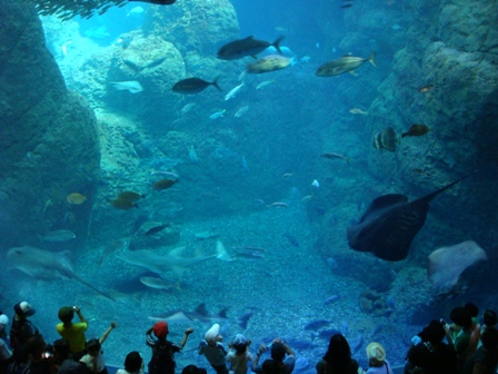 新江ノ島水族館