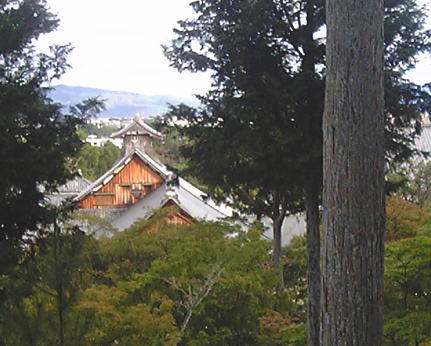 木立の中の本堂遠景