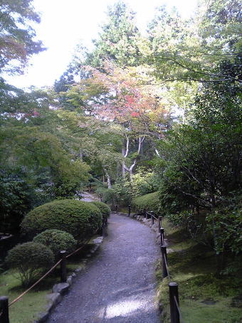 天竜寺庭園道