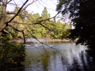 井の頭公園