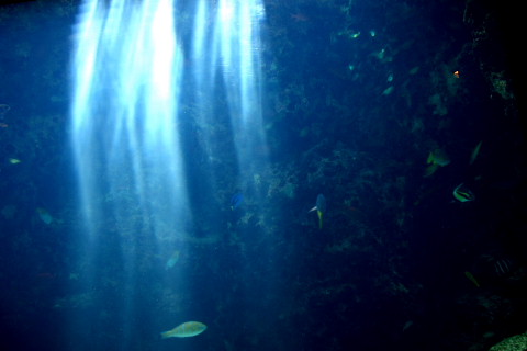 oki0139.jpg
