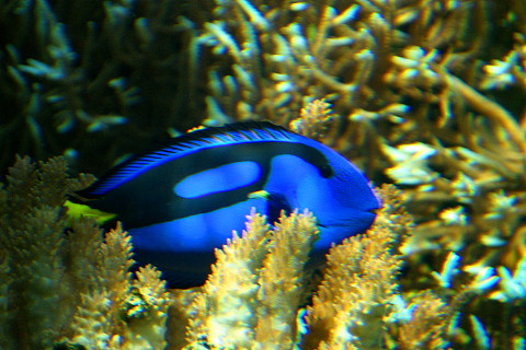 oki0093.jpg
