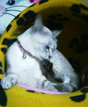 ツメのお手入れ～♪