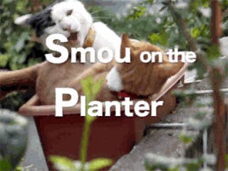 Smou-Planter_picture.jpg