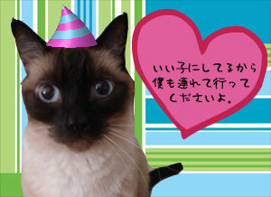 いい子にしてますから