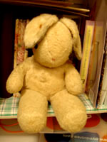 ダンナのうさぎ