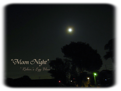 月の夜。.・：☆