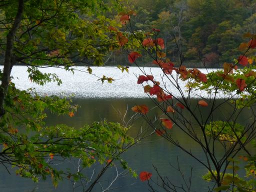 １０月