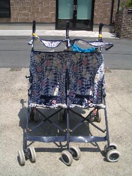 サイドバイサイド　クマ