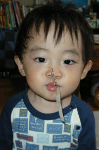 するめいかをかじる（10/10/05）