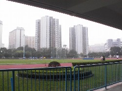 ピッチからの眺め