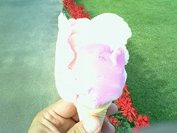 ババヘラアイス