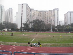 スタンドからの眺め