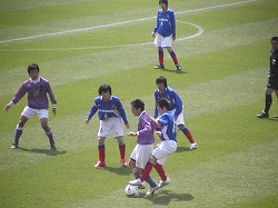 青白赤vs紫白紫は遠めには識別が難しい