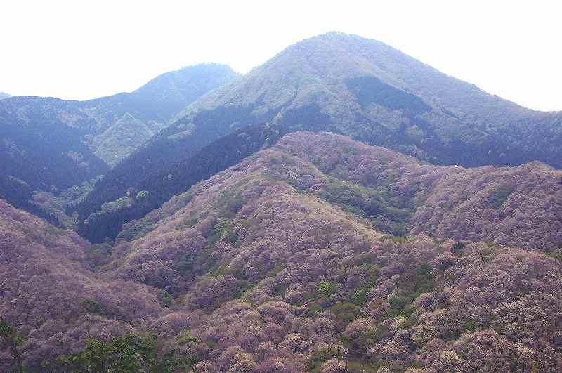 daisen0601