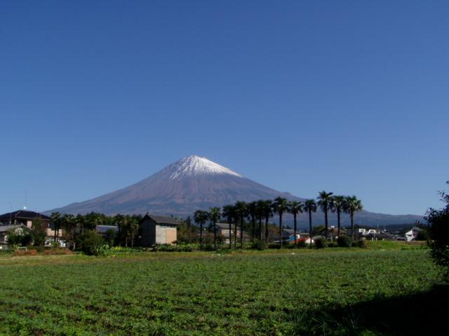 2005年11月9日富士川.富士宮地区 022