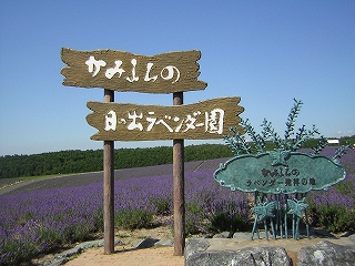 hionode