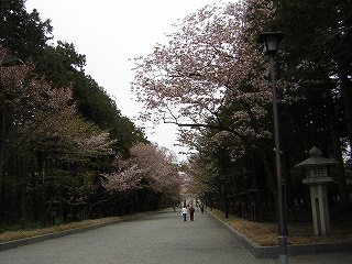 jinnguu1