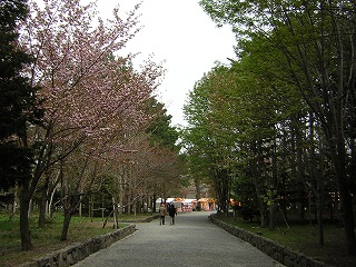 jinnguu2