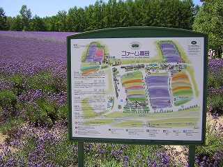 tomita1