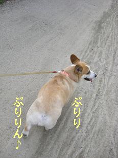 ファーブ君みたい
