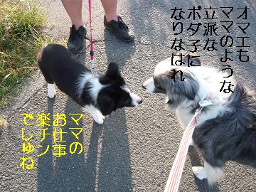 目標はできるボーダー