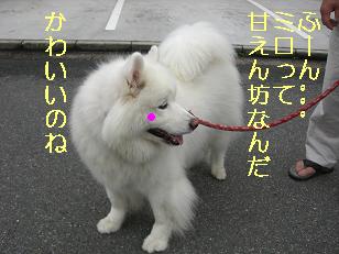 ぽっ