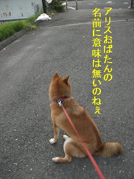 たそがれ