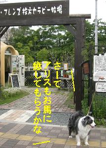 癒してもらうのな