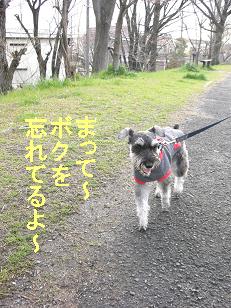 シュナ君